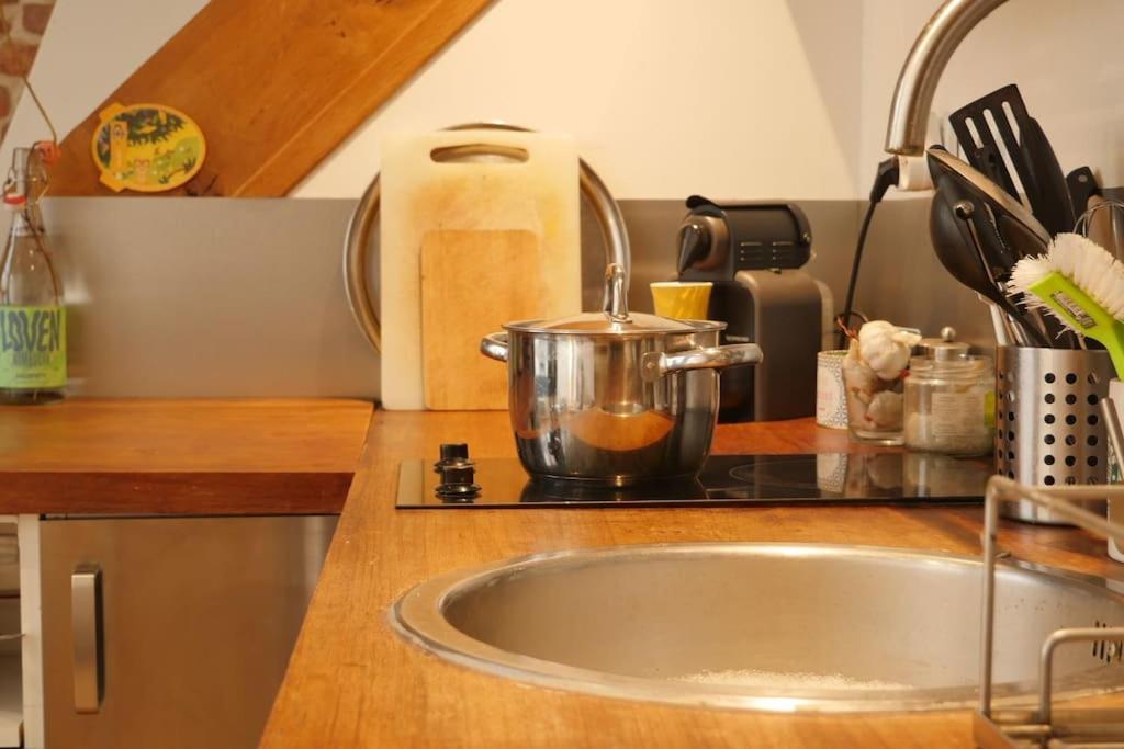 Oparadi 'Le Vieux Lille' A Deux Pas Des Boutiques Et Restaurants Esterno foto